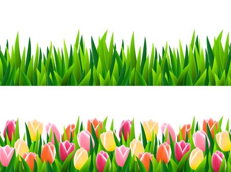 Set of seamless borders with fresh green grass and flowersのイラスト素材