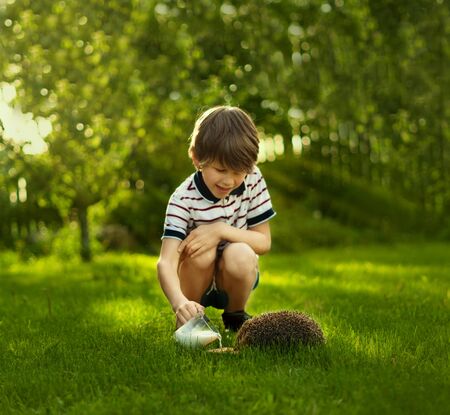 Child with pet. Boy feeding hedgehog and pours milk into a bowl.の写真素材