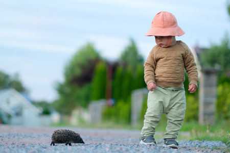 Small child stands next to a hedgehog on a country path. Curious moment in the natural world.の写真素材