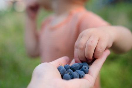 Toddler eating blueberries from an adult hand. Close-up outdoor scene focused on berries and hands.