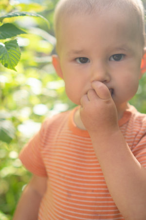 Curious baby discovering wild blueberries during forest adventure. Hands-on learning about healthy foraging and natures summer bounty.の写真素材