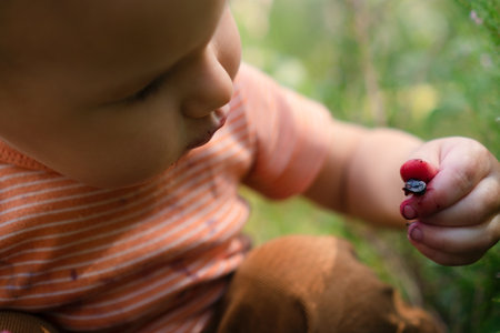 Toddler eats blueberries straight from the bush during a forest walk. Natural and healthy moment...
