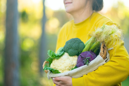Hands of farmer woman hold basket with broccoli, cauliflower, kohlrabi and young corn. Autumn harvest, farming production, vegetables, healthy food, fiber, sustainable agriculture and growth.の写真素材