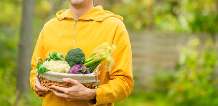 Farmer holding basket with cauliflower, broccoli, kohlrabi, and corn. Harvest time, fresh produce, organic farm food, and natural lifestyle nutrition. Horizontal bannerの写真素材