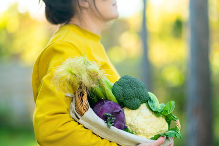 Close up of woman farmer hands holding woven basket filled with broccoli, cauliflower, kohlrabi, young corn. Autumn harvest, farming concept, healthy food, fiber, agriculture and nutrition.の写真素材