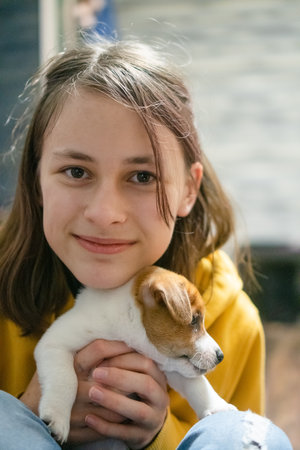 Young responsible girl holding her jack russell terrier puppy close, learning about pet care and animal friendship at home.の写真素材