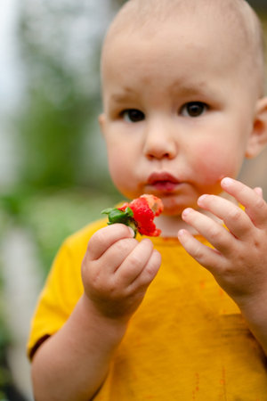 A youngster enjoys eating a juicy strawberry outside on a warm summer day. connection between children, fresh air, and natural, healthy snacks that are both delicious and nutritious.の写真素材