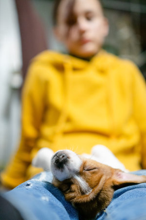 A serene puppy sleeping peacefully on a humans denim lap outdoors, embodying trust, relaxation, and the gentle bond between pets and their owners. Girl with first petの写真素材