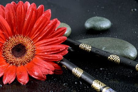 gerbera daisy still life with chopsticksの写真素材