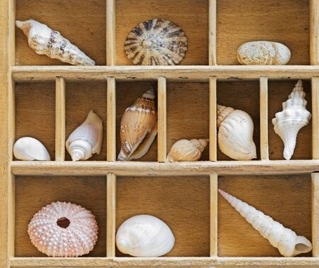 old wooden showcase