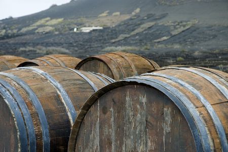 wine barrels on the island of Lanzarote/Canary Islands/Spain