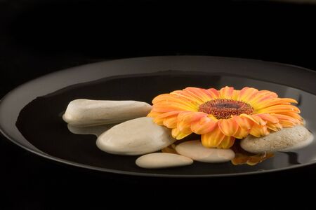 close up of yellow gerbera-daisy with pebbleの写真素材