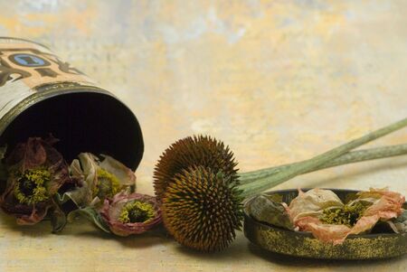 arrangement of dry flowersの写真素材