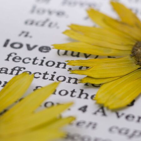 pressed flower on old dictionary with word loveの写真素材