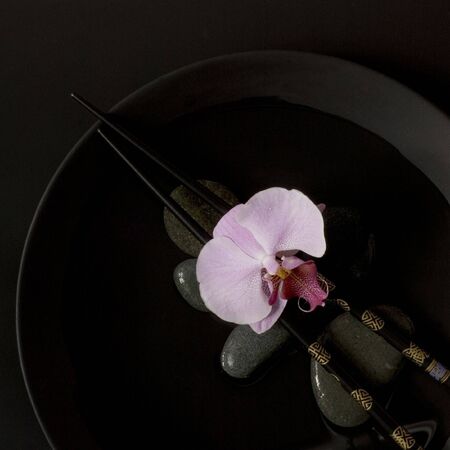 orchid flower still life asia styleの写真素材