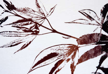 Printed maple leafs, print is designed and made by myselfの写真素材
