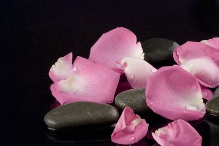 rose petals and stones on black backgroundの写真素材