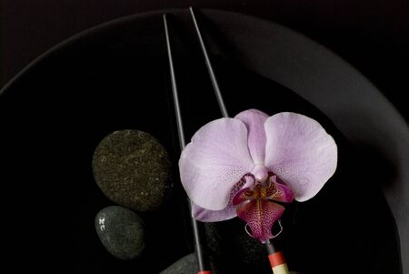 orchid flower still life asia styleの写真素材