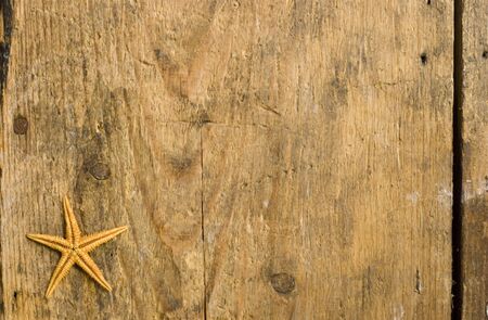 wooden background with starfishの写真素材