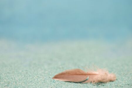little feather on turquoise backgroundの写真素材