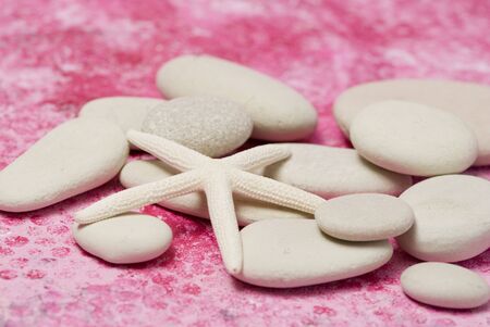 still life with starfish and pebbleの写真素材