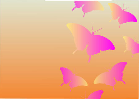 butterfly vector illustrationのイラスト素材