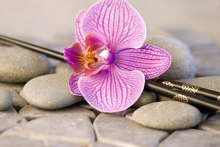 pink orchid flower and chopstick on pebbleの写真素材