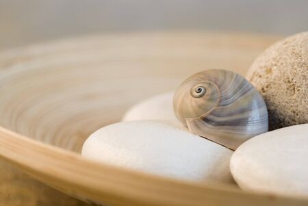 snail shell and pebble still lifeの写真素材
