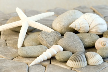 still life with starfish, heart shaped pebble and shells の写真素材