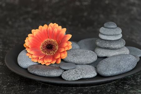 stone cairn and flowerの写真素材