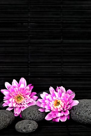 flower and pebbleの写真素材