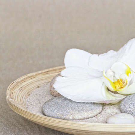 orchid and pebble in bamboo bowlの写真素材