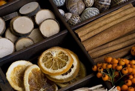 assortment of spices and nature materialsの写真素材
