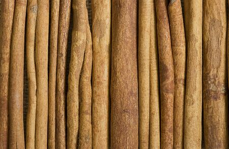 cinnamon sticks and anisの写真素材