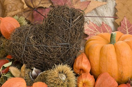 autumn still life の写真素材