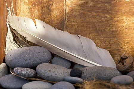 still life with feather in sunlightの写真素材