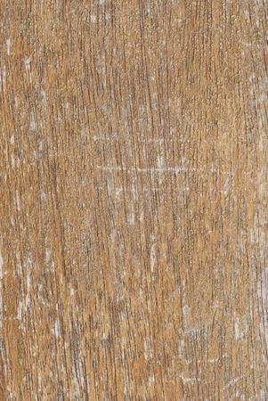 background grunge wood textureの写真素材