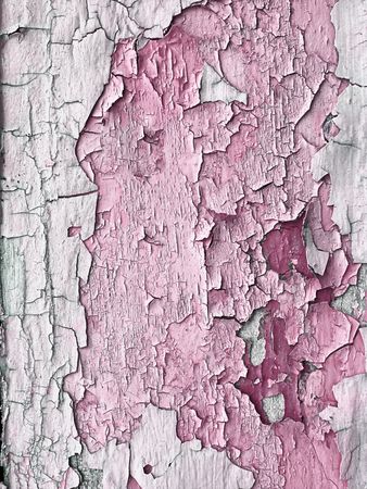 wooden plank with pink peeling paintの写真素材
