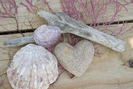 stone  heart and shells on the beachの写真素材