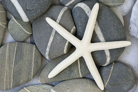 starfish on pebble backgroundの写真素材