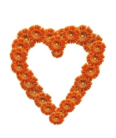 heart frame made of gerbera daisyの写真素材