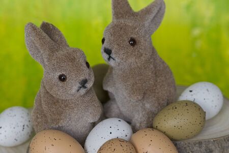 two easter bunnies with eggs