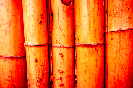 bamboo fence background texture with rope tide at head and bottomの写真素材