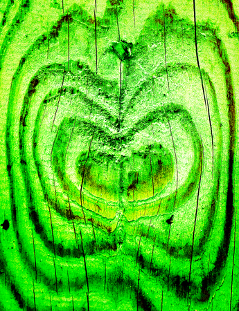 Green Emerald old wooden texture with black line hearts inside and some cracked parts as background. Wooden Valentine Day card of background toned to bright colorの写真素材