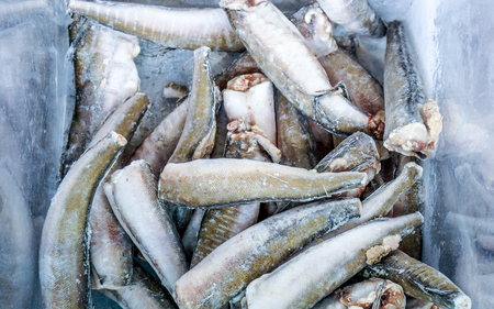 many frozen fish without head lay on shopping frozen cart, fish body without head in some ice as...