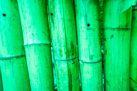 juicy painted to green bamboo fence with rope tide at head and bottom, circles on bamboo pylons as stairs to the up, beautiful natural wooden bamboo textureの写真素材