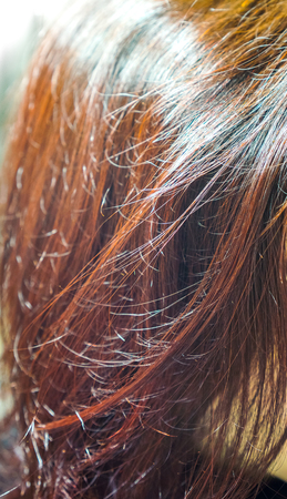 ginger brown burgundy red hair with long waves and gradient effect in sunlight. Straight hair fragment as a texture. long hair as natural backgroundの写真素材