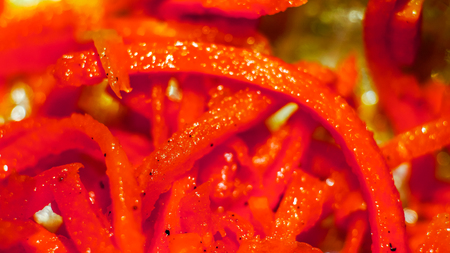 bright abstract circles and lines of carrot. toned to bright azure blue organic grated carrot with...