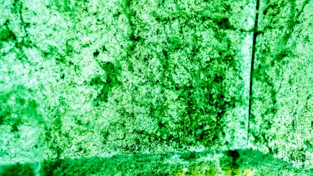 green emerald wall with big spider web, black mold and clear water drops on it. Dangerous toxic fungus mold on the ceiling in the room. Abstract background with mold and wet spider web on wall in roomの写真素材