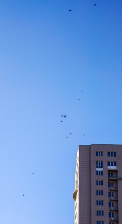 blue sky with few birds with big wings flying on it above high multi storey building. bottom view to small black birds flying against blue sunny sky. few small birds flying in the blue sky .の写真素材